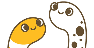 ちんあなご